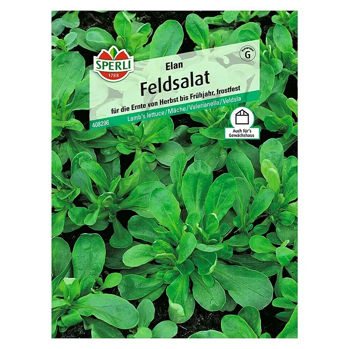 Sperli Salatsamen Feldsalat - Elan, Valerianella locusta, Erntezeit: Mai - Abbildung der Samenpackung für Elan Feldsalat von Sperli, ideal für die Herbst- bis Frühjahrsernte und frostbeständig.