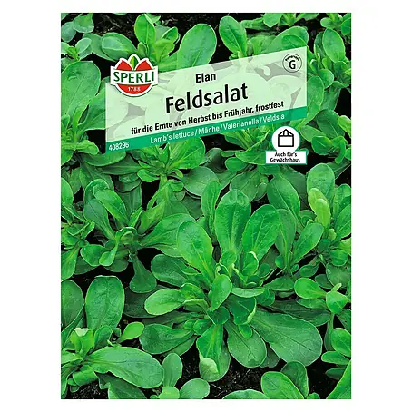 Sperli  Salatsamen Feldsalat
