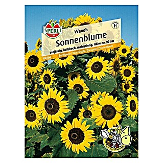 Sperli Blumensamen Sonnenblume (Waooh, Helianthus annuus, Blütezeit: Juli)