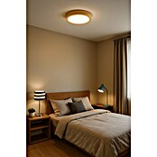 Alverlamp Foco downlight de superficie LED Nordic (20 W, Blanco neutro, Diámetro: 22 cm) | BAUHAUS