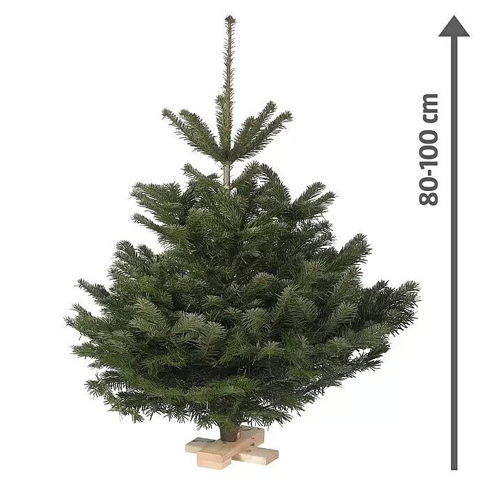 Piardino Nordmanntanne auf Holzkreuz - 80 - 100 cm hoch, Abies nordmanniana - Vorderansicht