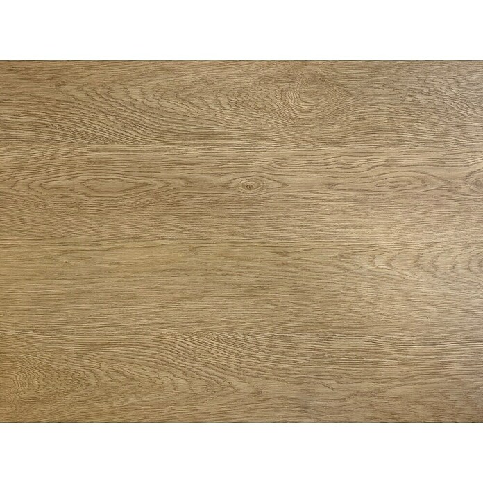 Suelo vinílico SPC Virginia (1.220 x 181 x 5,5 mm, Marrón, Resistente al agua) | BAUHAUS