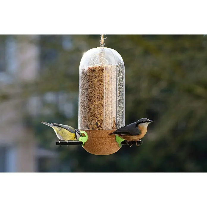 Dobar Futterspender Pickbar - Kunststoff, 3 Futterkammern - Ein hängender Vogelfutterspender aus transparentem Kunststoff, gefüllt mit Vogelfutter, an dem zwei Vögel fressen.