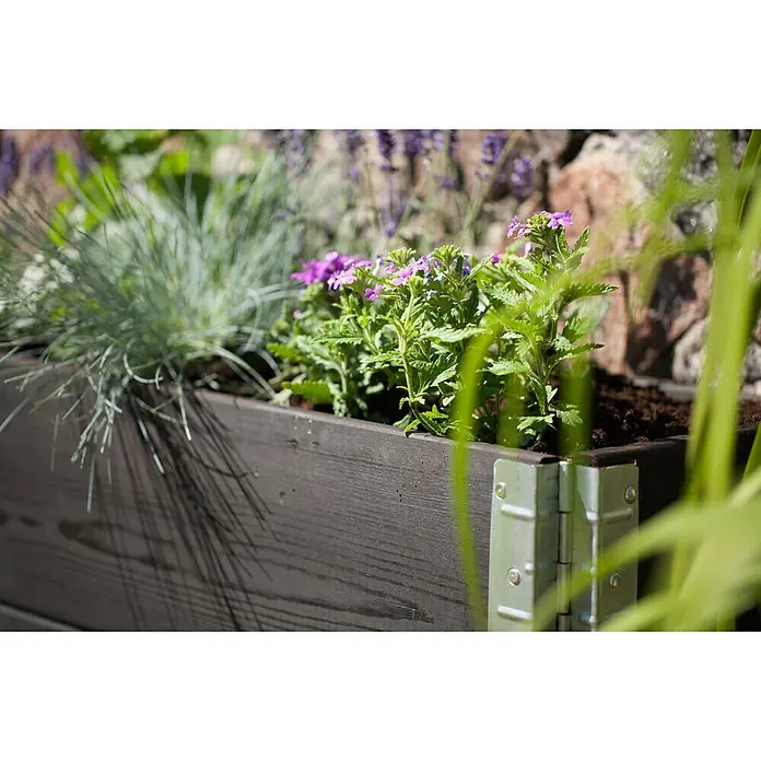 Gardol Hochbeetumrandung Palettenrahmen - L x B x H: 120 x 80 x 20 cm, Holz, Schwarz - Naheaufnahme eines mit Pflanzen gefüllten, dunklen Holzpflanzkastens mit robusten Metallbeschlägen, ideal für Garten und Terrasse.