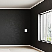 Luceco Oxford Conmutador (Blanco, Mate, Montaje en la pared, 10 A, 5 ud.) | BAUHAUS