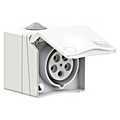 CEE-Wandsteckdose (16 A, 240 V, Polanzahl: 5 Stk., IP44, Verkehrsweiß, RAL 9016) | BAUHAUS
