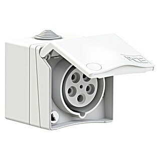 CEE-Wandsteckdose (16 A, 240 V, Polanzahl: 5 Stk., IP44, Verkehrsweiß, RAL 9016)