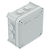 Abzweigkasten (114 x 114 x 57 mm, Aufputz, Lichtgrau, RAL 7035, IP55, 1 Stk.) | BAUHAUS
