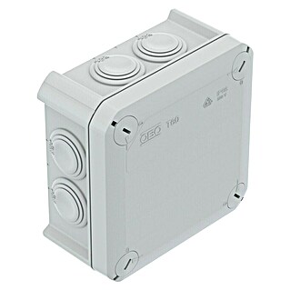Abzweigkasten (114 x 114 x 57 mm, Aufputz, Lichtgrau, RAL 7035, IP55, 1 Stk.)