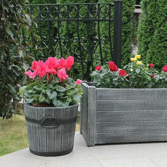 Roto Pflanztopf Polka - Grau,Schwarz, Außenmaß (Ø x H): 39 x 34 cm, Kunststoff - Graue Pflanzgefäße im Freien. Der runde Topf ist mit rosa Blumen und der rechteckige mit roten und gelben Rosen bepflanzt.