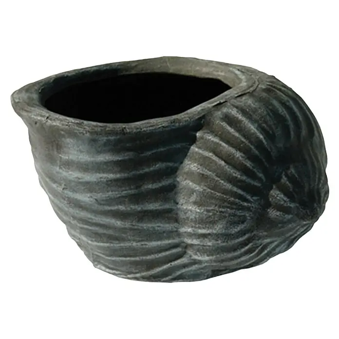 Roto Pflanztopf Muschel - Kunststoff, Anthrazit - Dekorative Pflanzschale in Form einer Ammonit-Fossilie. Die Schale ist aus robustem Material gefertigt und verleiht jedem Raum einen besonderen Akzent.