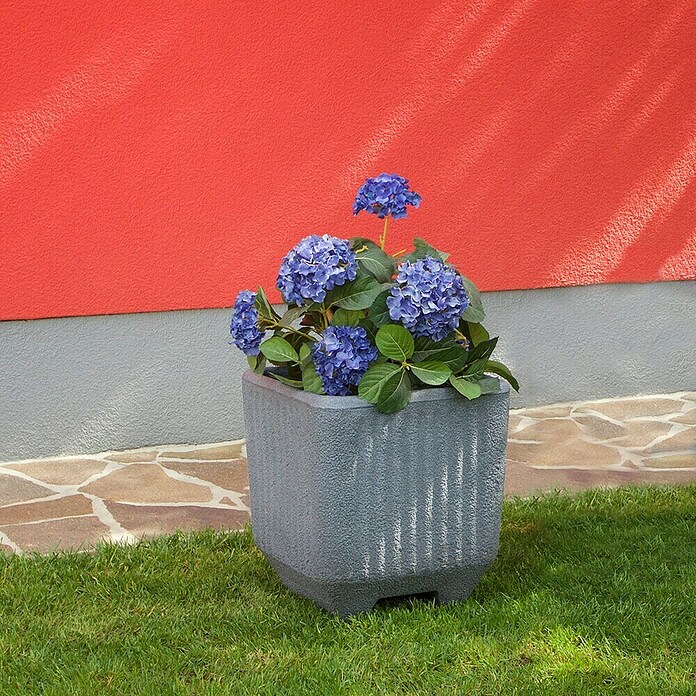 Roto Pflanzkasten Twist (Kunststoff, Grau, L x B x H: 3,7 x 3,7 x 40 cm) | BAUHAUS