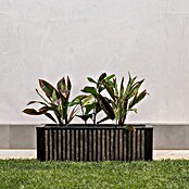 Roto Pflanzkasten Balboa (Schwarz,Braun, Kunststoff, L x B x H: 121 x 35 x 36 cm) | BAUHAUS