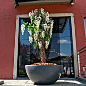 Roto Blumentopf Rumba (Ø x H: 100 x 47 cm, Anthrazit / Granit / Terracotta) | BAUHAUS