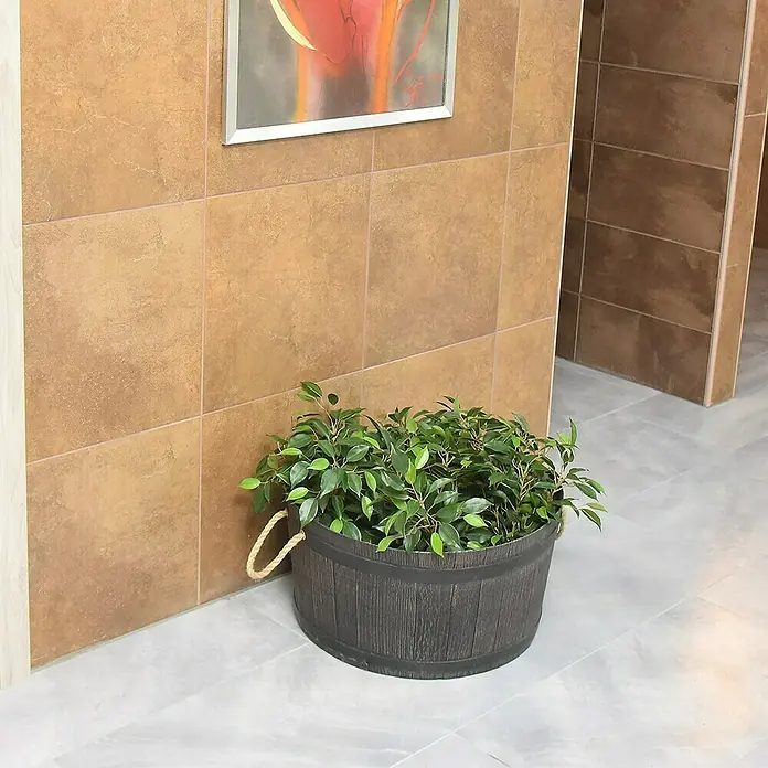 Roto Pflanztopf Mambo - Kunststoff, Braun,Schwarz - Eine Zimmerpflanze in einem dekorativen, dunklen Holzfass-Übertopf mit Seilgriffen, die an einer getäfelten Wand mit einem gerahmten Bild steht.