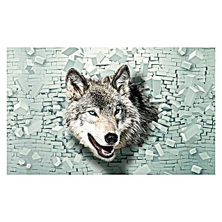 Fototapete Wolf-Wand (B x H: 312 x 219 cm, Vlies)