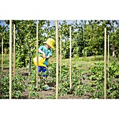 Kiehnholz Pflanzenstab Robinie (2,5 x 2,5 x 150 cm, Hartholz)