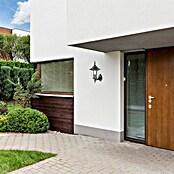 Aplique exterior Orlando  (Ascendente, 60 W, IP44, Negro)