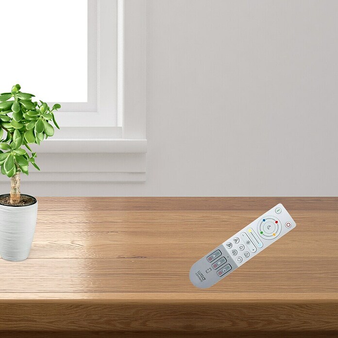 Lutec Mando a distancia Bluetooth (L x An x Al: 1,9 x 4 x 15,7 cm, Plástico, Gris) | BAUHAUS