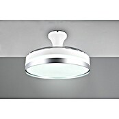 Trio Lighting Ventilador de techo Lindberg (Blanco, 100 cm, 35 W, Blanco cálido) | BAUHAUS