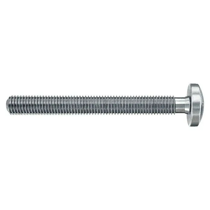 Fischer Hohlraumdübel DuoHM 4x55 S TX - Ø x L: 8 x 55 mm, Metall, 4 Stk., M 4 - Nahaufnahme einer rostfreien Gewindeschraube mit einem flachen, runden Kopf. Ein mechanisches Verbindungselement für verschiedene Anwendungen.