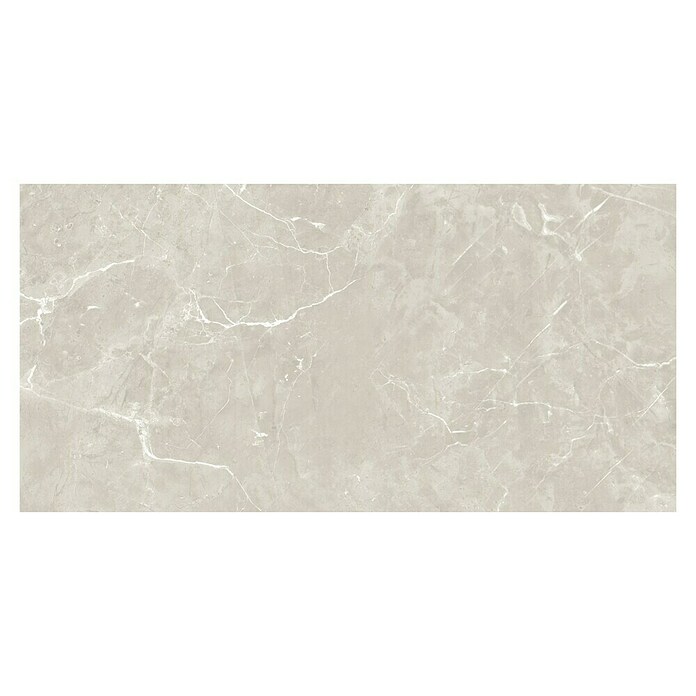 Feinsteinzeugfliese Clermont (30 x 60 cm, Hellgrau, Poliert)