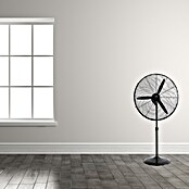 EDM Ventilador de pie industrial (Negro, 66 cm) | BAUHAUS