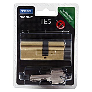 Tesa Assa Abloy Cilindro de perfil T5NV03040L (Longitud total interior: 30 mm, Longitud total exterior: 40 mm, Número de llaves: 3 ud.)