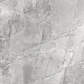 Granitogresne ploščice Pulpis  (60 x 60 cm, Siva, Sijaj) | 4240 - Natursteinoptik | EAFA - Bodenfliesen | EAF - Fliesen | EA - Fliesen | E - Fliesen | BAUHAUS