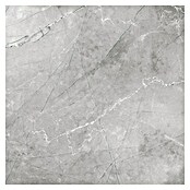 Granitogresne ploščice Pulpis  (60 x 60 cm, Siva, Sijaj) | 4240 - Natursteinoptik | EAFA - Bodenfliesen | EAF - Fliesen | EA - Fliesen | E - Fliesen | BAUHAUS