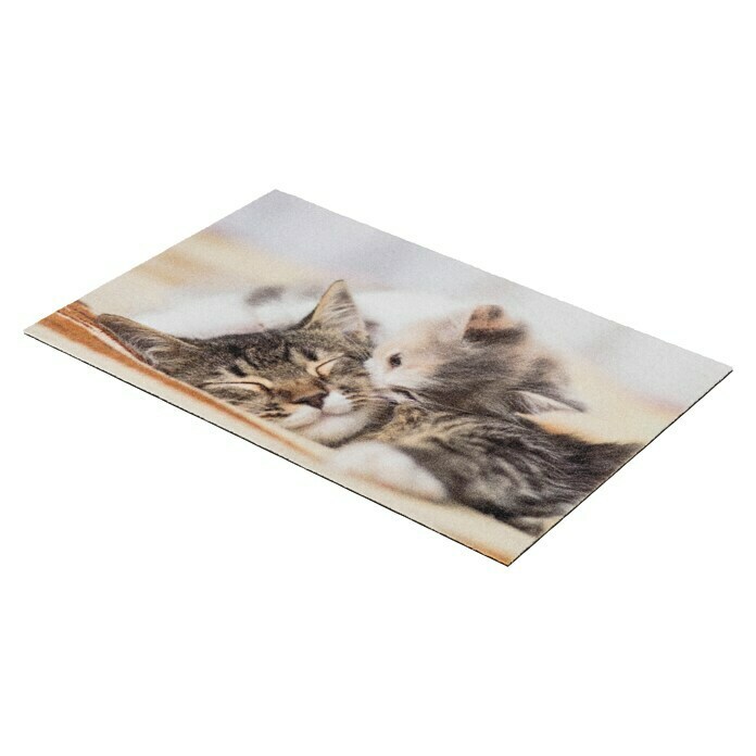 Astra Deco Sauberlaufmatte Print (Kitten, Bunt, 40 x 60 cm, 100 % Polyamid)