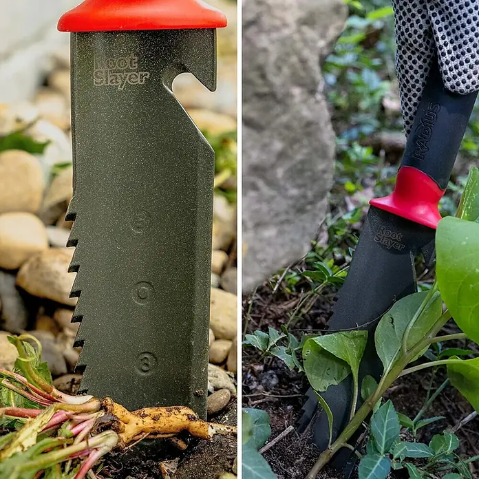 Root Slayer Jäter - L x B x H: 35 x 5 x 3 cm - Nahaufnahme eines Root Slayer Gartenwerkzeugs mit gezackter Klinge und rotem Griff, ideal zum Schneiden von Wurzeln.