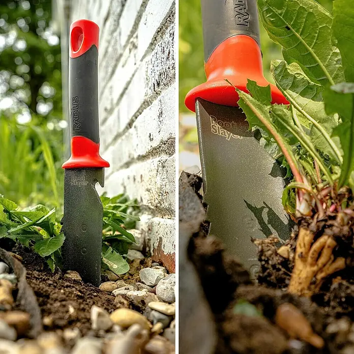 Root Slayer Jäter - L x B x H: 35 x 5 x 3 cm - Nahaufnahme eines "Root Slayer" Gartenwerkzeugs, das in der Erde steckt, mit rotem Griff und dem Schriftzug "Radius".
