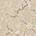 Beige/Creme