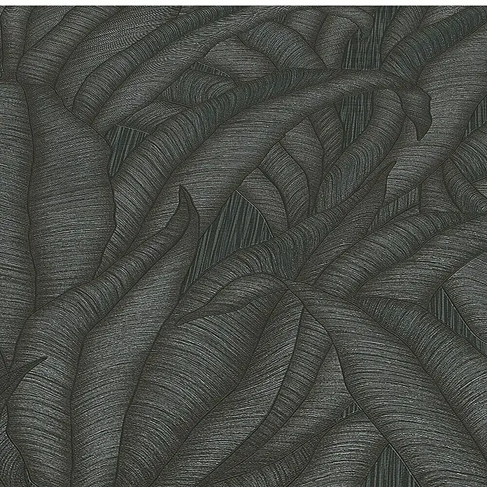 Papel pintado Hojas Botánico - Negro, Floral, 10 x 0,53 m - Primer plano de un revestimiento de pared con hojas oscuras estilizadas y texturas finas. Superficie decorativa con patrón de hojas gráficas.