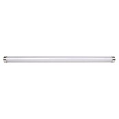 Eglo LED svetilka za ogledalo Tragacete 1  (18,5 W, Do x Š x V: 770 x 45 x 45 mm, Srebrna, Nevtralno bela) | 3018 - Wandleuchte | CACC - Wandleuchte | CAC - Indoorleuchten | CA - Beleuchtung | C - Elektro | BAUHAUS
