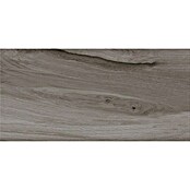 Cersanit Porculanska pločica Ashville Grey  (29,7 x 59,8 cm, Mat) | BAUHAUS
