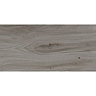 Cersanit Talne ploščice Ashville Grey (29,7 x 59,8 cm, Siva/Rjava, Mat)
