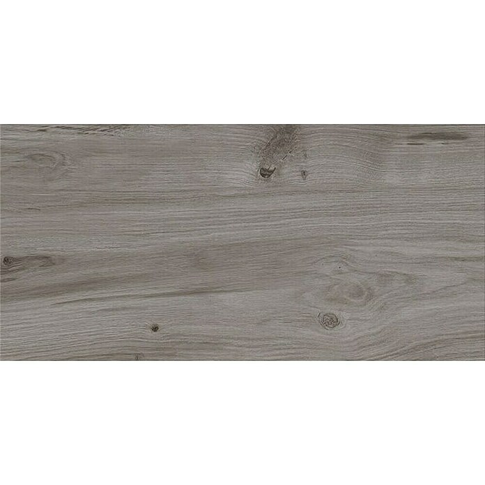 Cersanit Porculanska pločica Ashville Grey  (29,7 x 59,8 cm, Mat) | BAUHAUS