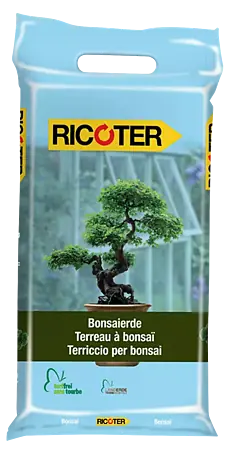 Ricoter Bonsaierde - Jetzt kaufen! Schnelle Lieferung