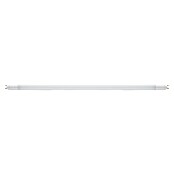 Voltolux LED-Röhre T8 (60 cm, Warmweiß, 900 lm, T8) | BAUHAUS