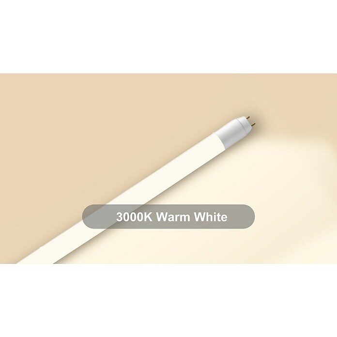 Voltolux LED-Röhre T8 (60 cm, Warmweiß, 900 lm, T8) | BAUHAUS