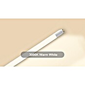Voltolux LED-Röhre T8 (60 cm, Warmweiß, 900 lm, T8) | BAUHAUS