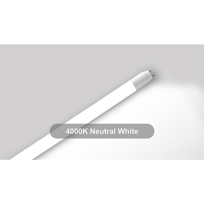 Voltolux LED-Röhre T8 (60 cm, Warmweiß, 900 lm, T8) | BAUHAUS