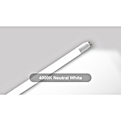 Voltolux LED-Röhre T8 (60 cm, Warmweiß, 900 lm, T8) | BAUHAUS