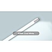 Voltolux LED-Röhre T8 (60 cm, Warmweiß, 900 lm, T8) | BAUHAUS