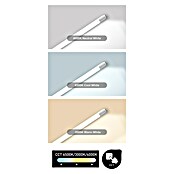 Voltolux LED-Röhre T8 (60 cm, Warmweiß, 900 lm, T8) | BAUHAUS