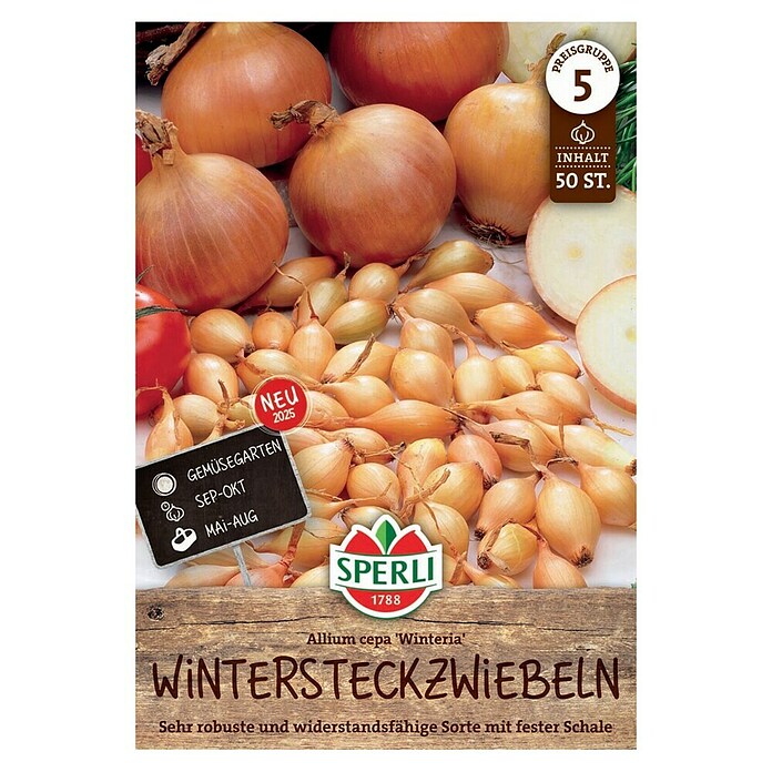 Sperli Steckzwiebeln Gelbe Wintersteckzwiebel Winteria (Allium cepa, 50 Stk.) | BAUHAUS