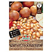 Sperli Steckzwiebeln Gelbe Wintersteckzwiebel Winteria (Allium cepa, 50 Stk.) | BAUHAUS