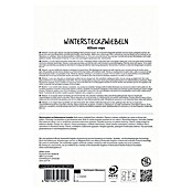 Sperli Steckzwiebeln Gelbe Wintersteckzwiebel Winteria (Allium cepa, 50 Stk.) | BAUHAUS